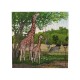 Puzzle "girafes"