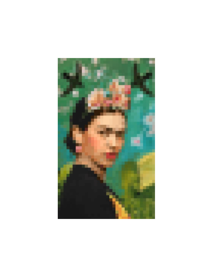 Grand Poster + 1900 stickers : 10 ans et + Frida Kahlo