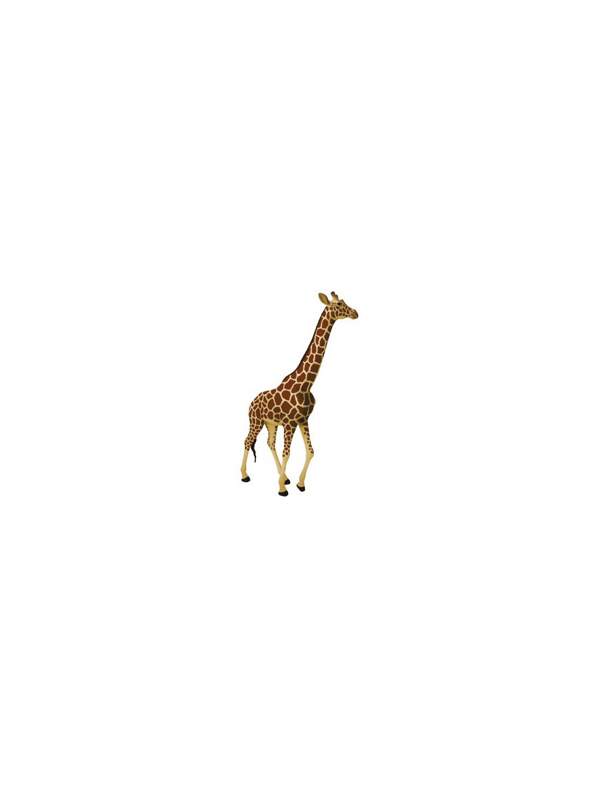 Anatomie 4D : girafe