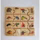 Puzzle "Les oiseaux et leur bec"
