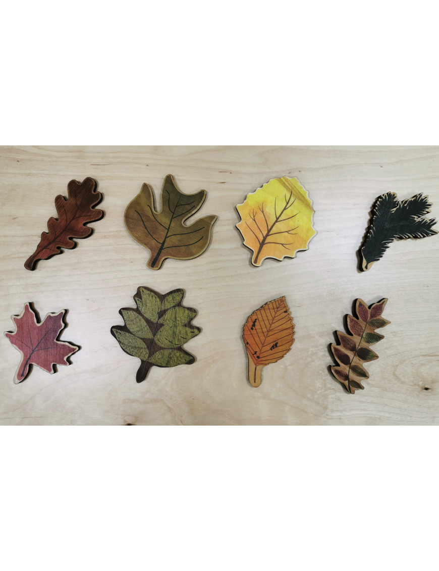 Puzzle des feuilles