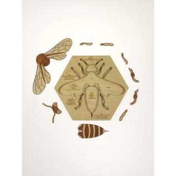 Précommande : Puzzle de l'abeille : expédition février 2024