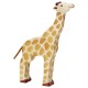 Girafe, tête haute