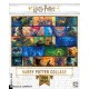 Puzzle " Harry Potter collage" - New york puzzle company