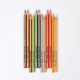 Crayons de couleur Lyra graduate 12 pièces- boîte métal