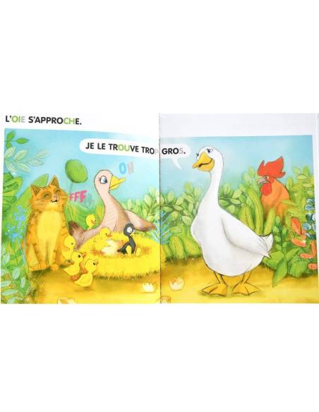 Album de premières lectures avec textes enrichis, progression phonologique et illustrations colorées pour développer la fluidité