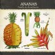 Carte "Ananas"