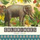 Coloriages - Les animaux