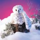 Marionnettes Folkmanis : Grande chouette harfang des neiges