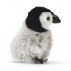 mini bebe pinguin