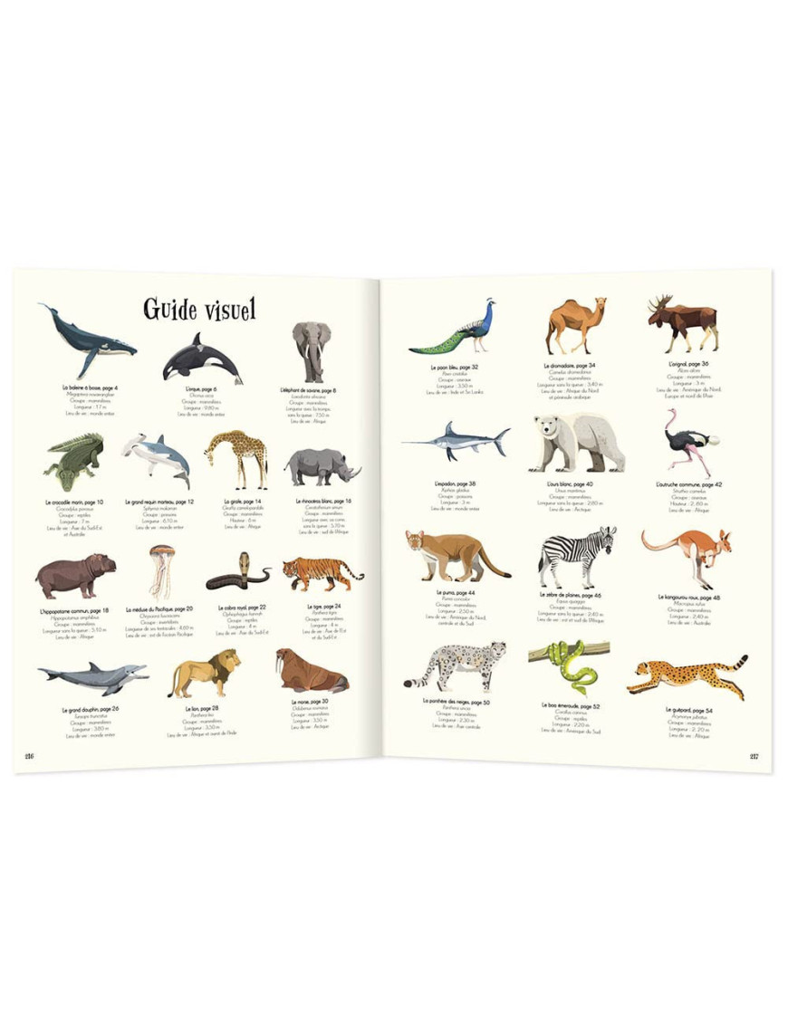 L'anthologie illustrée des animaux fascinants