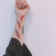 Tattoo plume Colorèes