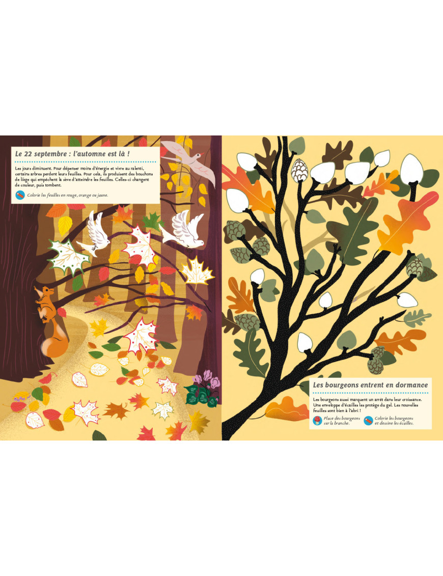 Cahier d'activités - Faune et flore de l'automne