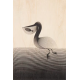 Carte Postale Pelican