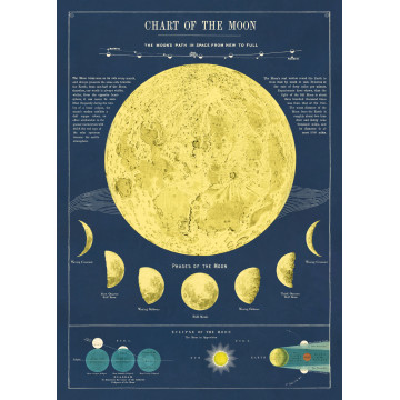 Affiche Cavallini "Phases de la lune" II