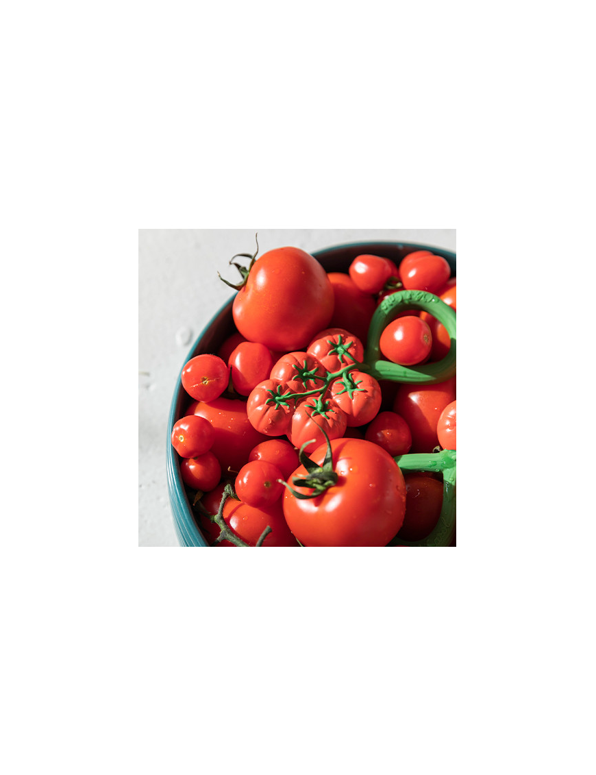 Hochet "Tomates" - Oli & Carol