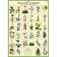 Affiche Cavallini "Jardin botanique"