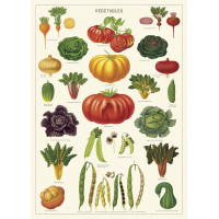 Affiche Cavallini "Légumes du potager"