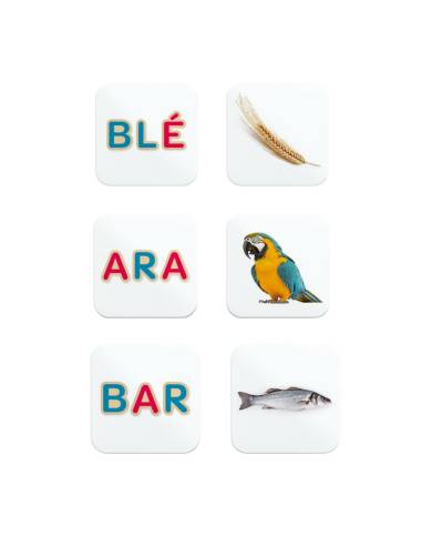 Memory des mots - Céline Alvarez. Editions Les Arènes