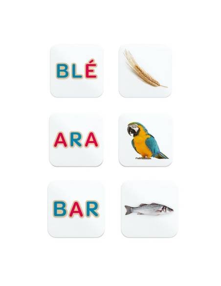 Memory des mots - Céline Alvarez. Editions Les Arènes