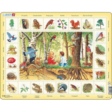 Puzzle 48 pièces "dans la forêt " - Larsen