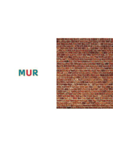 Mon imagier: 75 mots à lire dès 3 ans, Céline Alvarez. Le mur. Edition Les Arènes