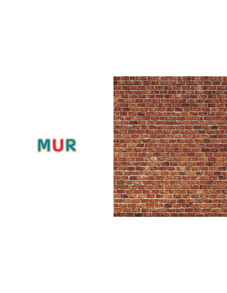 Mon imagier: 75 mots à lire dès 3 ans, Céline Alvarez. Le mur. Edition Les Arènes