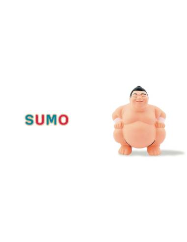 Mon imagier: 75 mots à lire dès 3 ans, Céline Alvarez. Le sumo. Edition Les Arènes