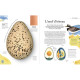 L'anthologie insolite des trésors de la Nature : roches, nids, plumes et autres merveilles
