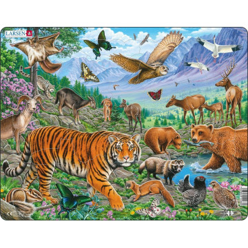 Puzzle 36 pièces "Tigre de Sibérie" - Larsen