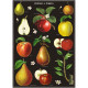 Affiche Cavallini "Pommes et poires"
