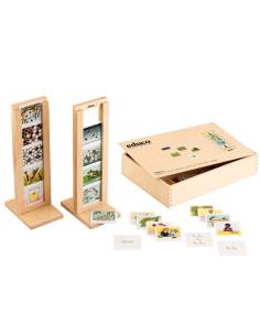 Jeu éducatif illustré pour comprendre le développement des êtres vivants