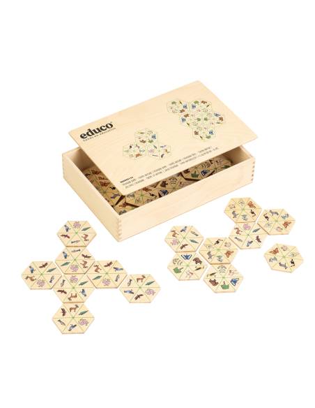 Plateau hexagonal illustré sur le thème de la nature pour développer observation et logique