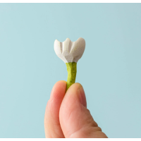 Précommande : Petite fleur blanche-expédition avril