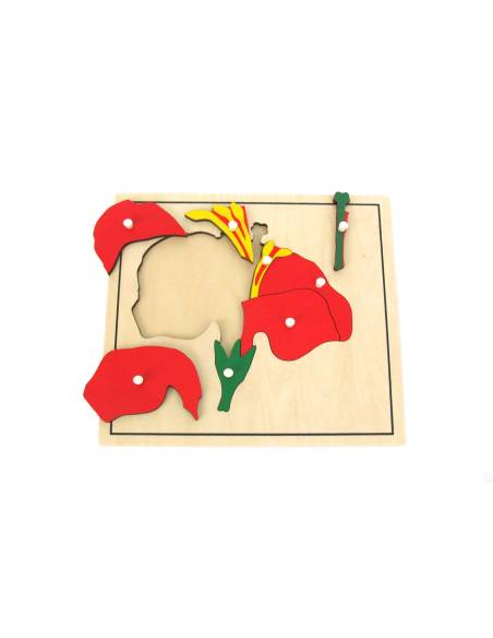 Puzzle éducatif pour apprendre les parties de la fleur