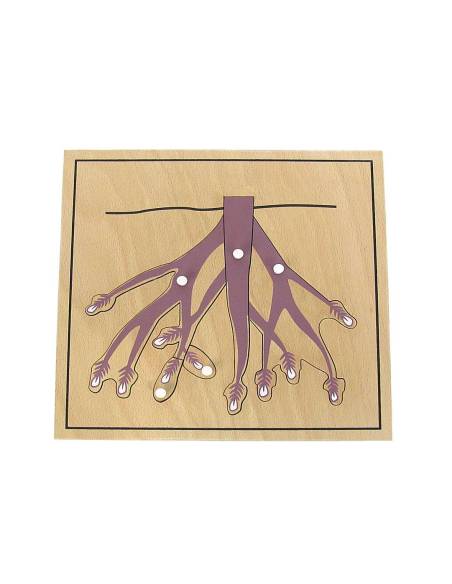 Puzzle de la racine