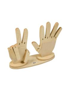 Mains pour compter avec doigts pliables