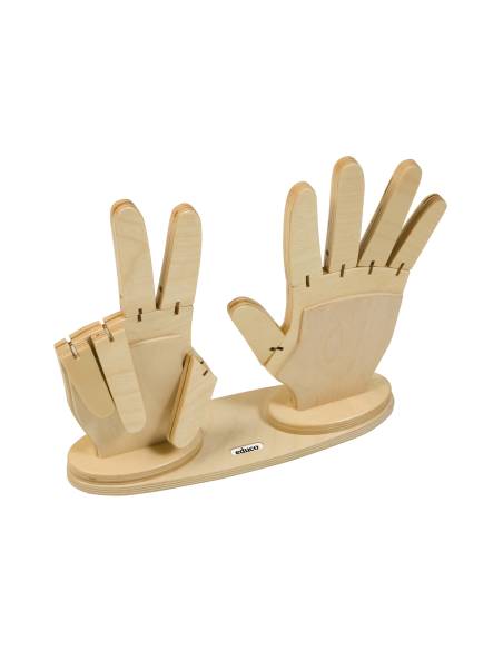 Mains pour compter avec doigts pliables