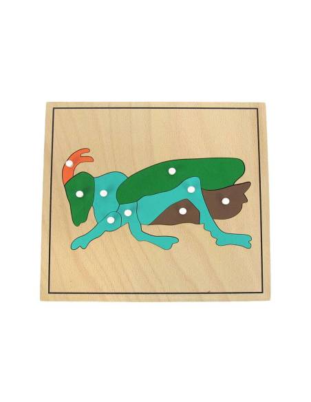 Puzzle Montessori criquet en bois
