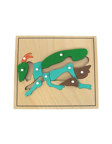Puzzle Montessori en bois représentant l’anatomie d’un criquet pour enfants dès 3 ans