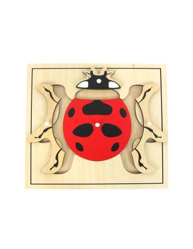 Puzzle Montessori représentant une coccinelle pour apprendre l’anatomie des insectes
