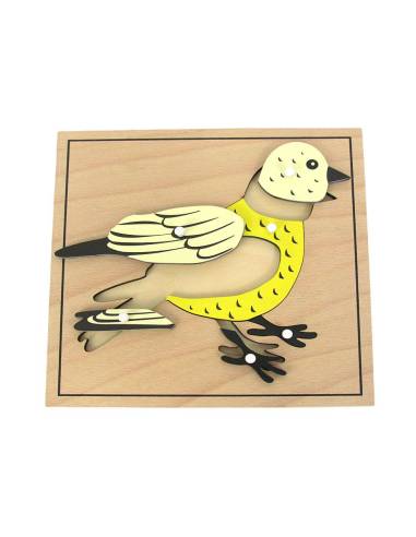 Puzzle Montessori représentant un oiseau en bois peint avec pièces à bouton