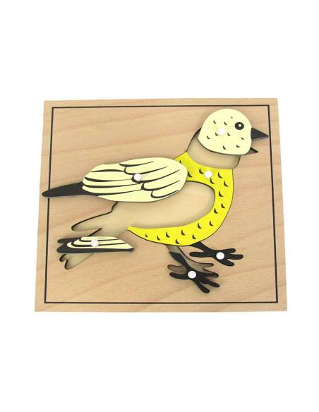Puzzle Montessori représentant un oiseau en bois peint avec pièces à bouton