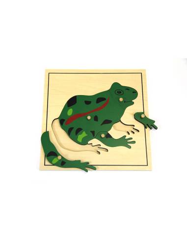 Puzzle en bois Montessori représentant les parties du corps de la grenouille