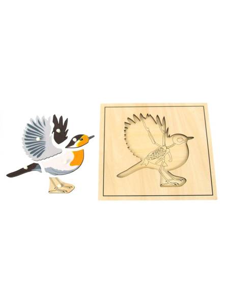 Puzzle éducatif Montessori représentant un oiseau et son squelette