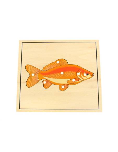 Puzzle Montessori poisson et squelette