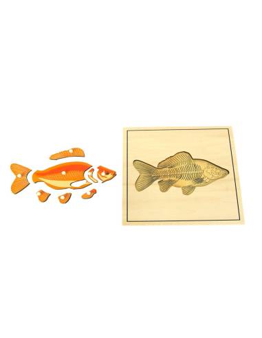 Puzzle éducatif en bois Montessori représentant un poisson et son squelette