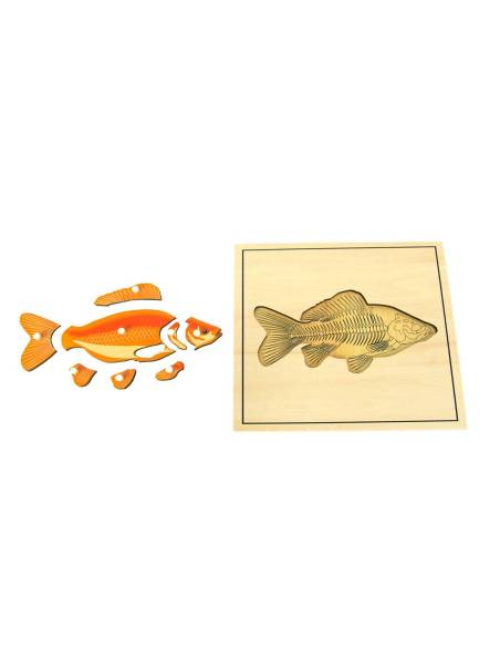 Puzzle éducatif en bois Montessori représentant un poisson et son squelette