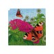 Puzzle cycle de vie du papillon monarque