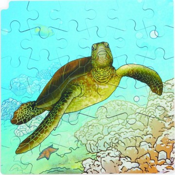 Puzzle cycle de vie de la tortue
